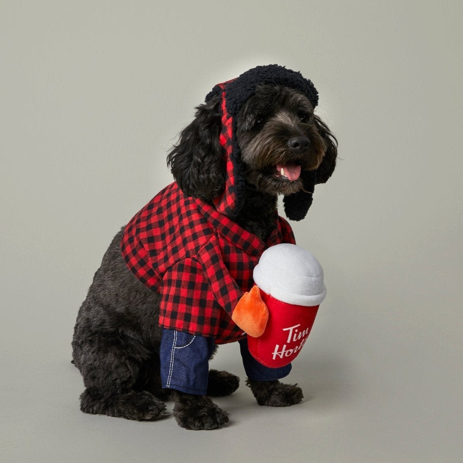 JasperHalloween_1365 Lumberjack Pet Costume - Image 1